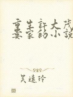 重生许大茂搞死娄家的小说