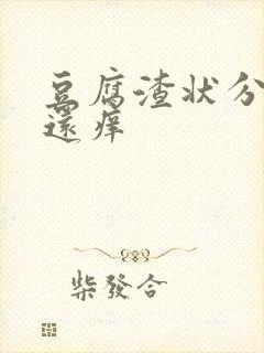 豆腐渣状分泌物还痒