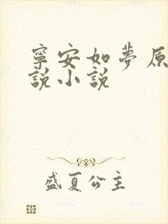 宁安如梦原著小说小说