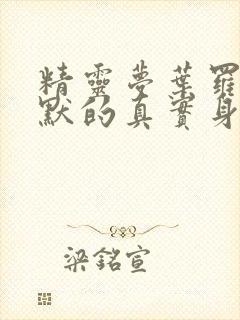 精灵梦叶罗丽王默的真实身份小说