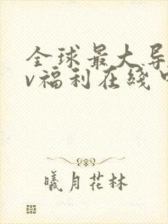 全球最大导航av福利在线中文