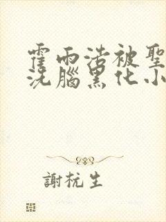 霍雨浩被圣灵教洗脑黑化小说