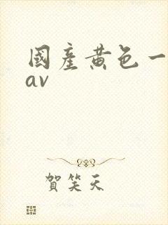 国产黄色一级片av