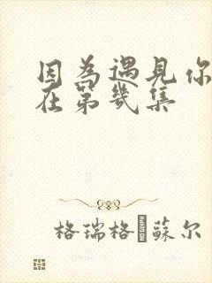 因为遇见你吻戏在第几集