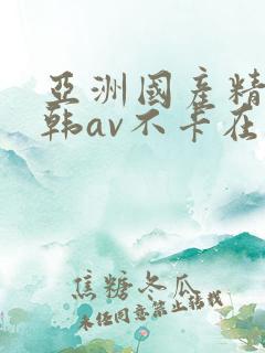 亚洲国产精品日韩av不卡在线