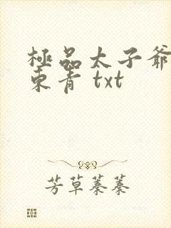 极品太子爷 海东青 txt