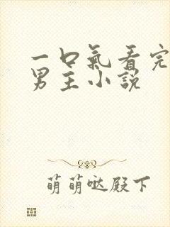 一口气看完的双男主小说