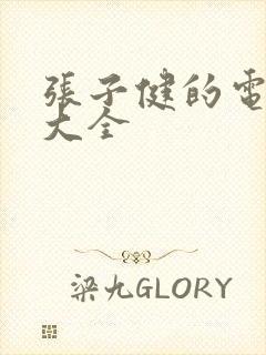 张子健的电视剧大全