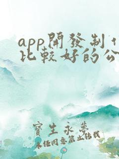 app开发制作比较好的公司