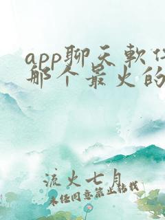 app聊天软件那个最火的