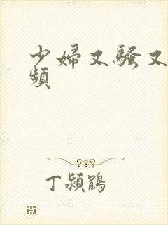 少妇又骚又美视频