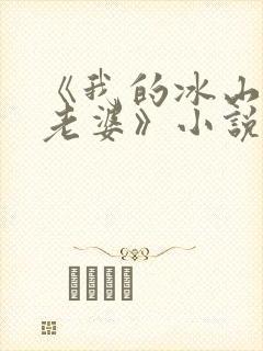 《我的冰山总裁老婆》小说