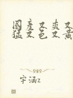 国产又爽又粗又猛又色又黄