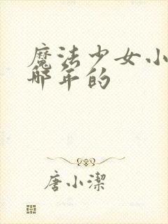 魔法少女小圆是哪年的