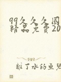 99久久久国产精品免费2021