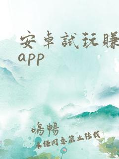 安卓试玩赚软件app