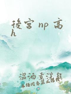 后宫 np 高h