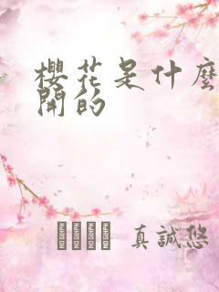 樱花是什么季节开的