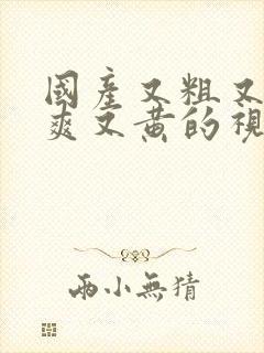 国产又粗又猛又爽又黄的视频.