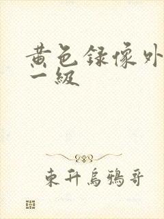 黄色录像外国特一级