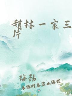 赵林一家三口照片