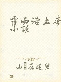 霍雨浩上唐舞桐小说