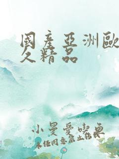 国产亚洲欧美久久精品