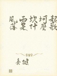 风雨坎坷起起落落是什么歌的歌词