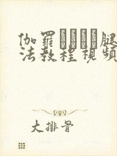 伽罗ちゃんが腿法教程视频