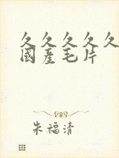 久久久久久精品国产毛片