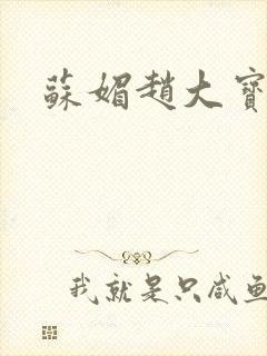 苏媚赵大宝儿媳