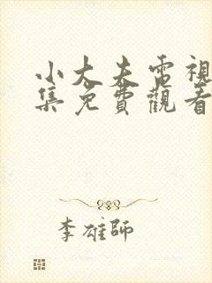 小大夫电视剧全集免费观看完整版