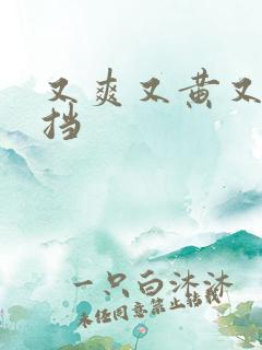 又爽又黄又无遮挡