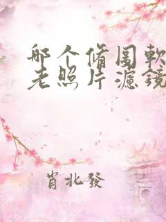 哪个修图软件有老照片滤镜