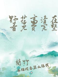 野花高清在线观看免费完整