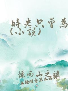 时光只曾为你留(小说)