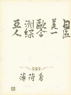 亚洲欧美日韩成人综合一区