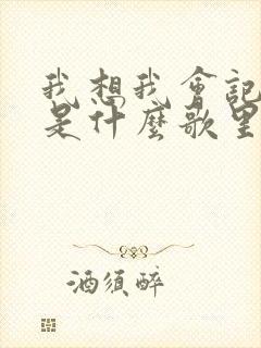 我想我会记得你是什么歌里的歌词