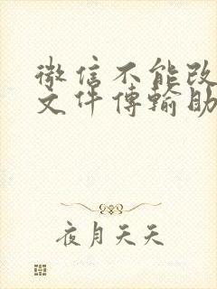 微信不能改名为文件传输助手