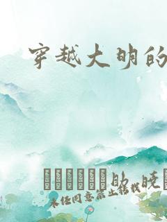 穿越大明的小说