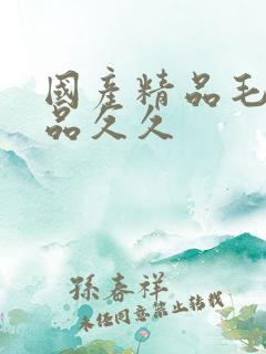 国产精品毛片极品久久