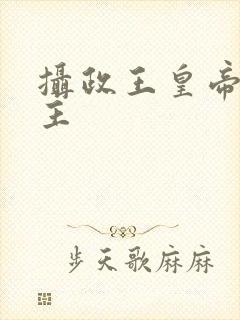 摄政王皇帝双男主