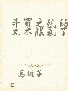 斗罗之我的系统又不服气了 全文阅读