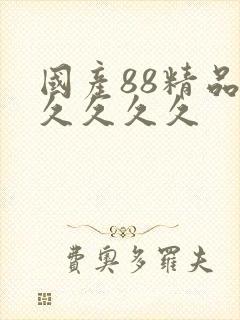 国产88精品久久久久久