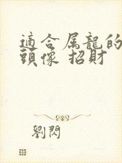 适合属龙的微信头像 招财