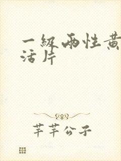 一级两性黄色生活片