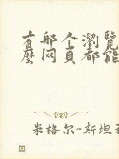 有哪个浏览器什么网页都能打开