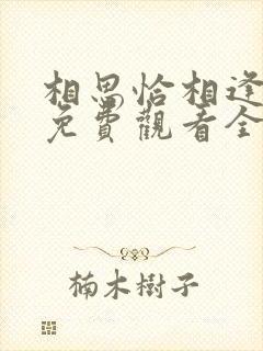 相思恰相逢短剧免费观看全集高清