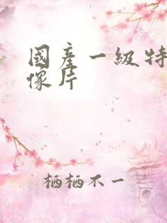 国产一级特黄录像片