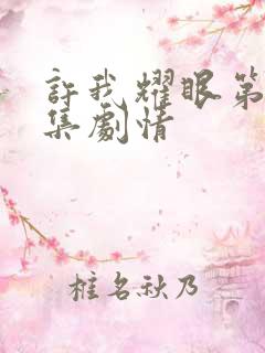 许我耀眼第18集剧情